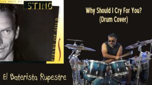 The Health Impact of Insect Stings and Tips for First Aid