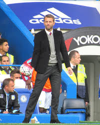 The Life and Career of Tim Sherwood: Insights and Achievements