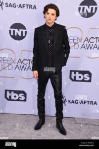 Timothée Chalamet: The Brightest Star in Contemporary Cinema