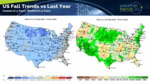 Understanding Tokyo Weather: Trends and Forecasts