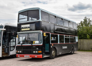 Twycross Zoo: A Leader in Conservation and Education