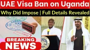 Understanding the UAE Visa Ban: Current Situation and Implications