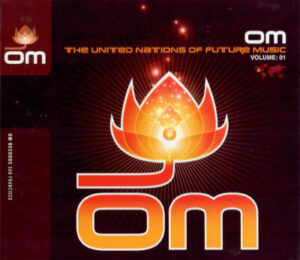 The Role and Importance of the United Nations Today