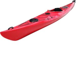 Understanding Vanguard: A Leading Investment Management Company