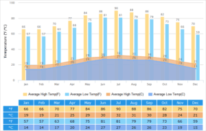 Current Weather Trends and Forecasts for Hong Kong