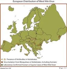 Understanding West Nile Virus: Risks and Prevention