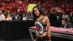 The Legacy of AJ Lee in Professional Wrestling