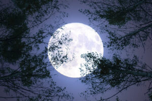 Understanding the Phenomenon of Blue Moons