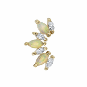 The Importance of CAF in Today’s Economy