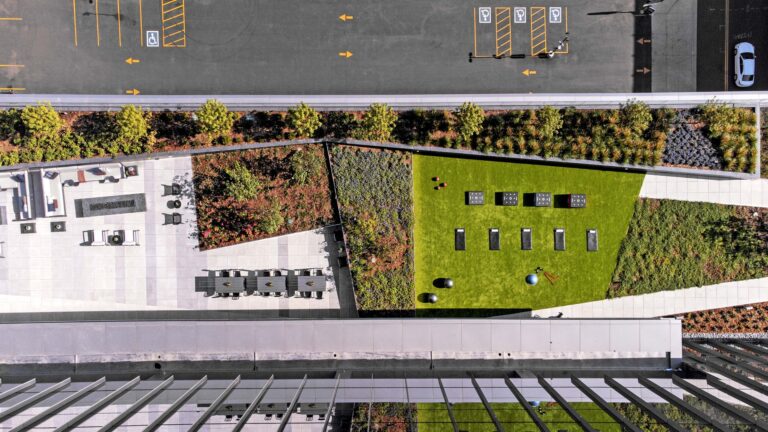 The Role of Capital in Economic Growth and Business Success