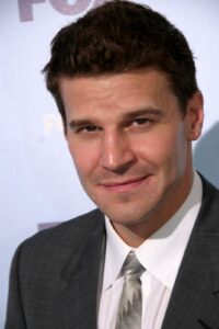 The Career and Impact of David Boreanaz