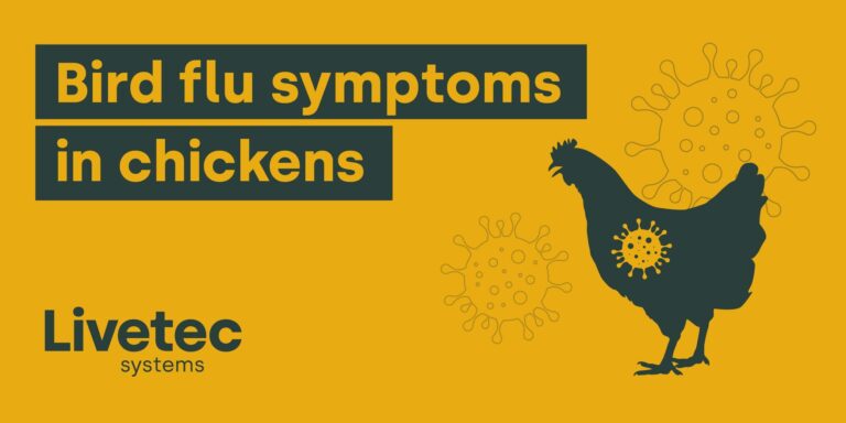 A Comprehensive Guide to Flu Symptoms and Management