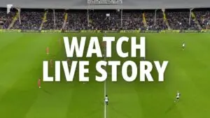 Fulham vs Everton: A Key Premier League Encounter