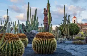 Discover the Beauty and Culture of Lanzarote