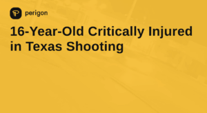 Breaking Down the Lucy Harrison Texas Shooting Incident
