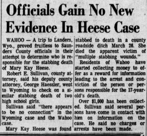 Mary Kay Heese: Pioneer in Personal Skincare Solutions