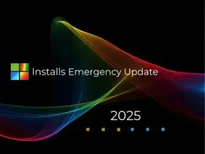Understanding the Microsoft Windows Emergency Update