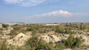 Pachuca vs Atlas: A Clash in Liga MX