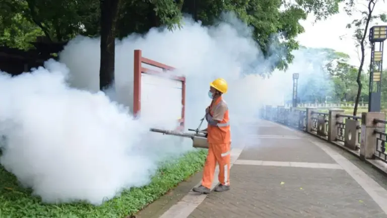 The Seychelles Chikungunya Virus Outbreak: What You Need to Know