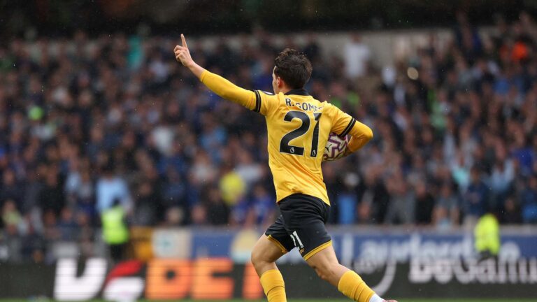 The Role and Conservation of Wolves in Ecosystems