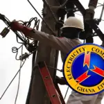 ECG Planned Maintenance March 2026