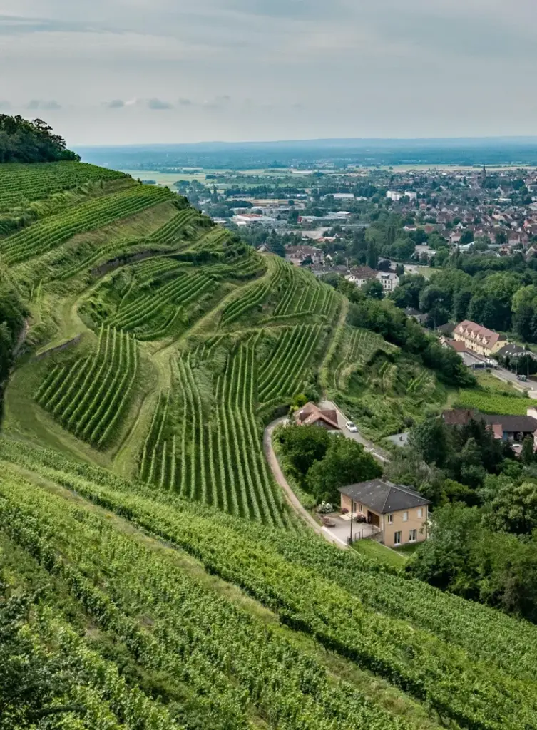 France Triumphs Over Colombia in Friendly Match