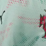 Portugal FC: FC Porto Foundation Wins Social Responsibility Award