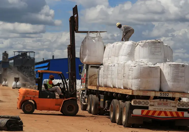 Zimbabwe’s New Export Ban on Lithium and Minerals