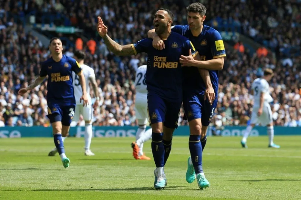 newcastle vs brighton — GH news