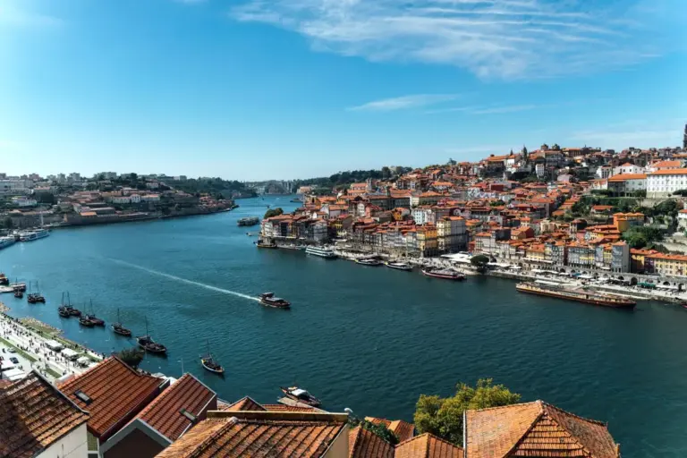 Porto’s WAKE UP! App Empowers Citizens to Track Carbon Footprint