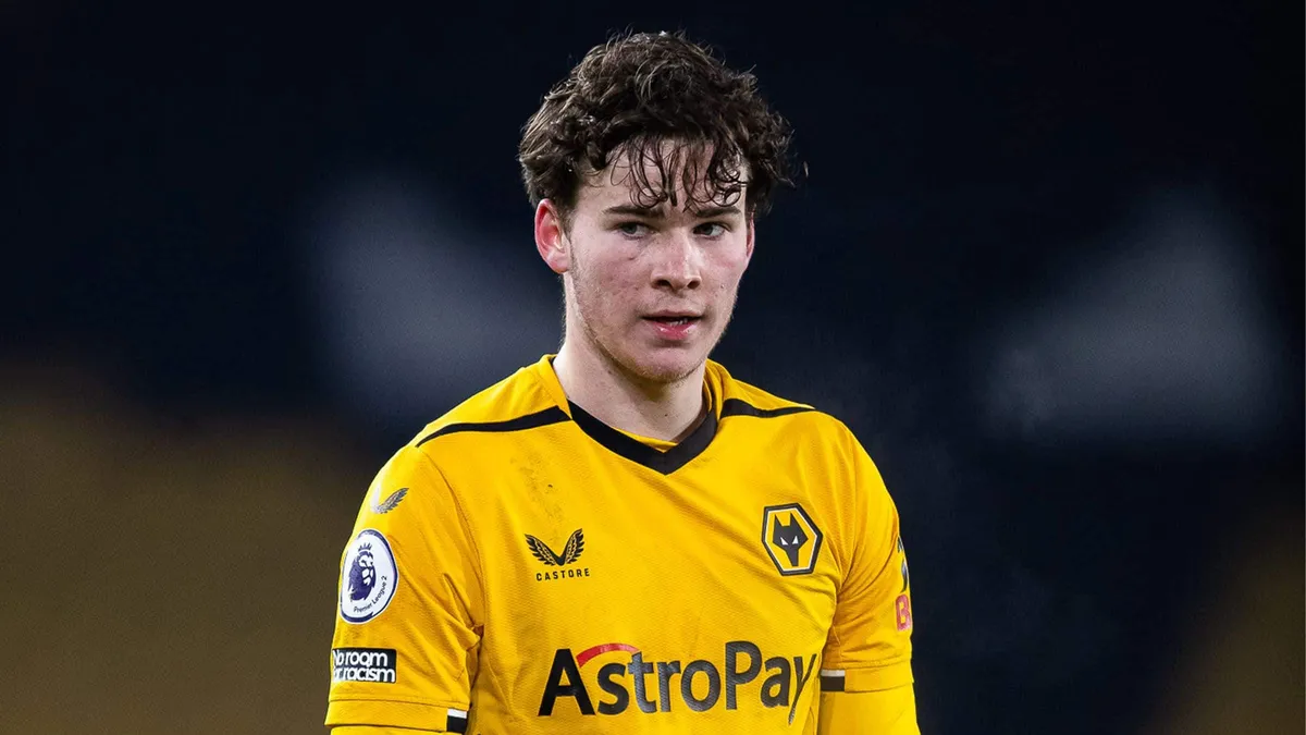 wolves vs sunderland — GH news